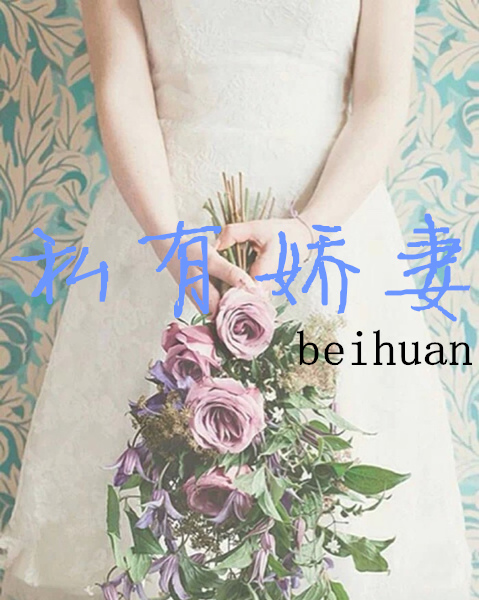 合体变身小说