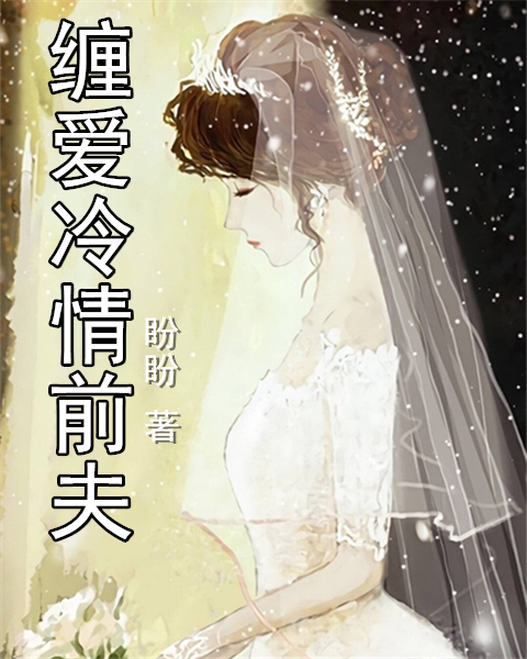 婚外情 小说免费阅读电子书封面