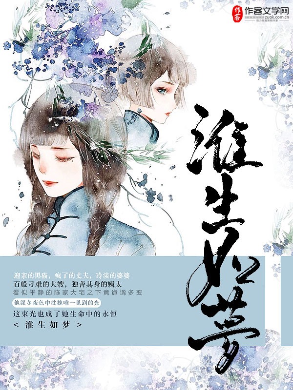 紫轩小说目录电子书封面